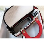 DIOR MEDIUM LADY D-LITE BAG Latte Multicolor Cupidon Embroidery