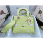 DIOR MEDIUM LADY D-LITE BAG Green Toile de Jouy Reverse Embroidery