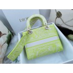 DIOR MEDIUM LADY D-LITE BAG Green Toile de Jouy Reverse Embroidery