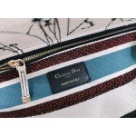 DIOR MEDIUM LADY D-LITE BAG Latte Multicolor Dior Zodiac Embroidery