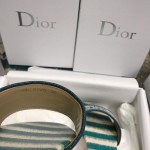 DIOR DWAY SLIDE Deep Ocean Blue D-Stripes Embroidered Cotton