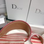 DIOR DWAY SLIDE Dark Nude D-Stripes Embroidered Cotton