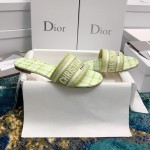 DIOR DWAY SLIDE Lime Check'n'Dior Embroidered Cotton