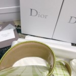 DIOR DWAY SLIDE Lime Check'n'Dior Embroidered Cotton