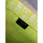 DIOR LARGE BOOK TOTE Green Dior Oblique Embroidery