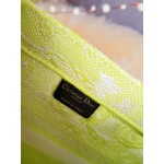 DIOR MEDIUM BOOK TOTE Lime Toile de Jouy Reverse Embroidery