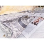 DIOR MEDIUM BOOK TOTE Gray Toile de Jouy Embroidery