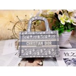 DIOR MINI BOOK TOTE Gray Dior Oblique Embroidery