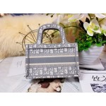 DIOR MINI BOOK TOTE Gray Dior Oblique Embroidery